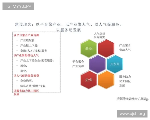 打造企业家官网的数字化转型之路，引领行业创新与未来发展